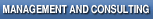 MANAGEMENT AND CONSULTING