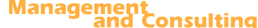 Management and Consulting